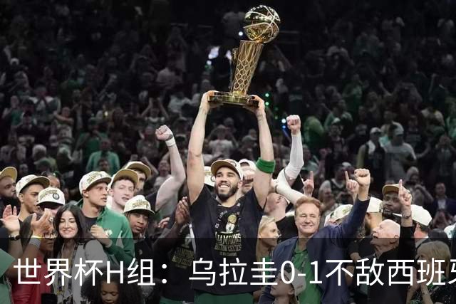 世界杯H组：乌拉圭0-1不敌西班牙 佛得角0-0战平沙特阿拉伯