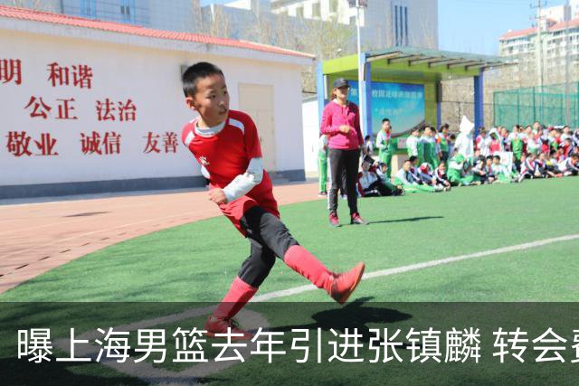 曝上海男篮去年引进张镇麟 转会费投入超5000万